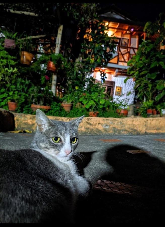 Hospedaje El Jardin San Agustín Εξωτερικό φωτογραφία